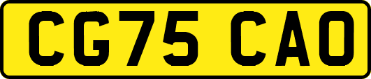 CG75CAO
