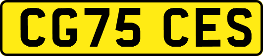 CG75CES