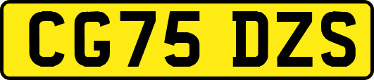 CG75DZS