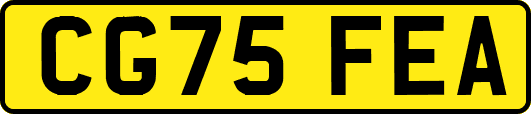 CG75FEA
