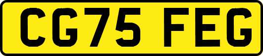 CG75FEG