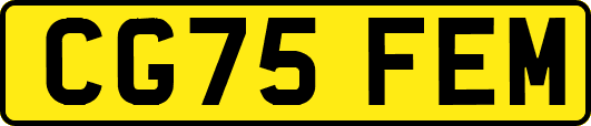 CG75FEM