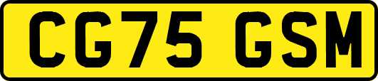 CG75GSM