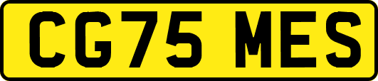 CG75MES