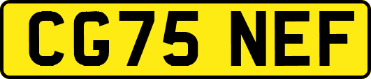 CG75NEF