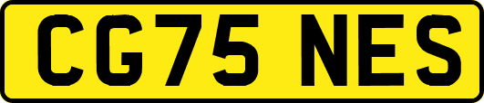 CG75NES
