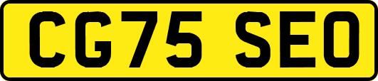 CG75SEO