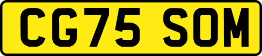 CG75SOM