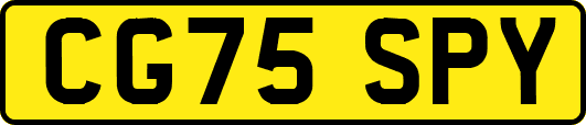 CG75SPY