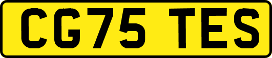 CG75TES