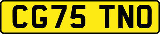 CG75TNO