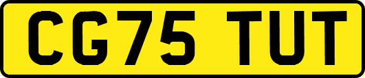 CG75TUT