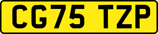 CG75TZP
