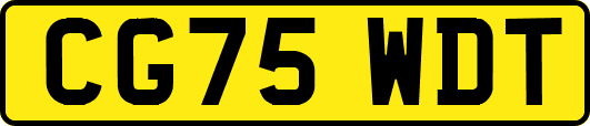 CG75WDT