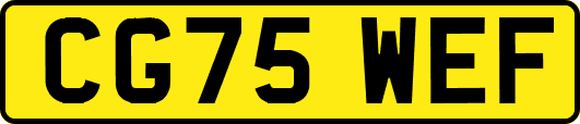 CG75WEF