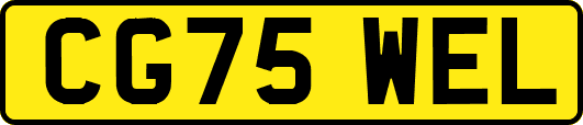 CG75WEL