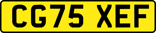 CG75XEF