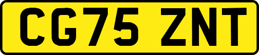 CG75ZNT
