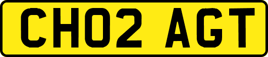 CH02AGT