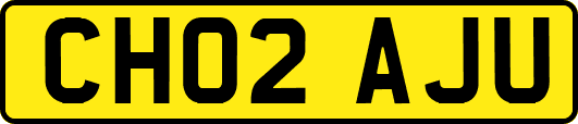 CH02AJU