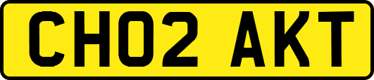 CH02AKT