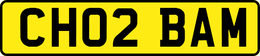 CH02BAM