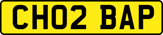 CH02BAP