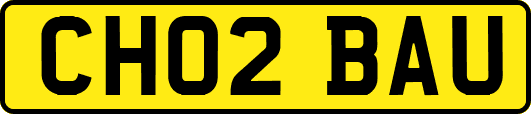 CH02BAU