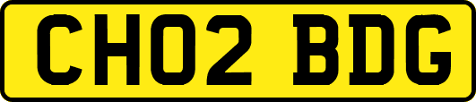 CH02BDG
