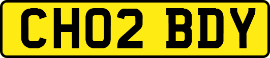 CH02BDY