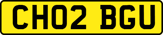 CH02BGU