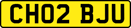 CH02BJU