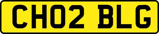 CH02BLG