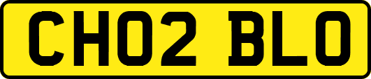 CH02BLO