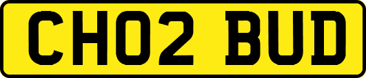 CH02BUD