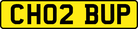 CH02BUP