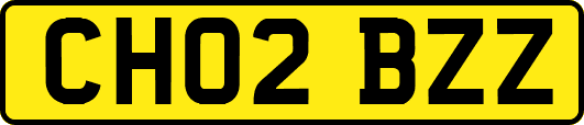 CH02BZZ