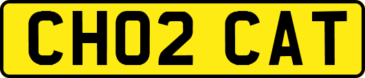 CH02CAT