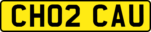 CH02CAU