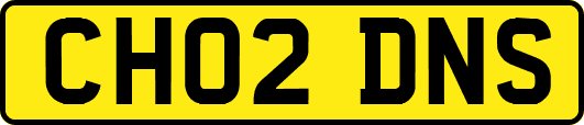 CH02DNS