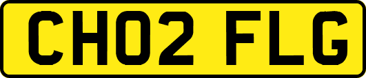 CH02FLG