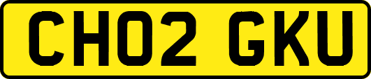 CH02GKU