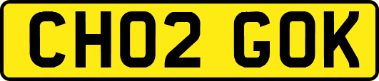 CH02GOK