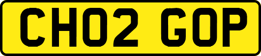 CH02GOP