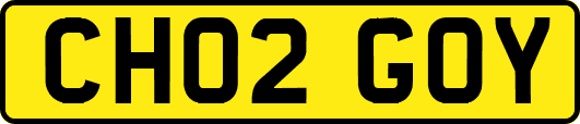 CH02GOY