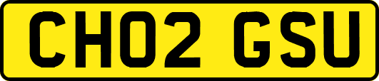 CH02GSU