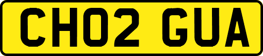CH02GUA