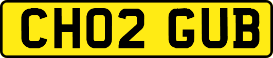 CH02GUB