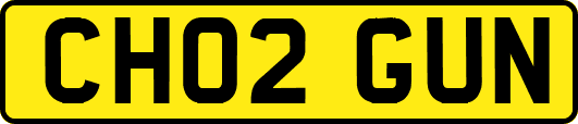 CH02GUN