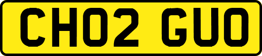 CH02GUO